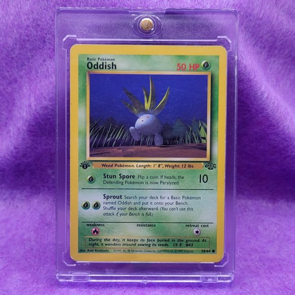 Pokémon Cards from 1995 -1999 - Picture 6 of 6